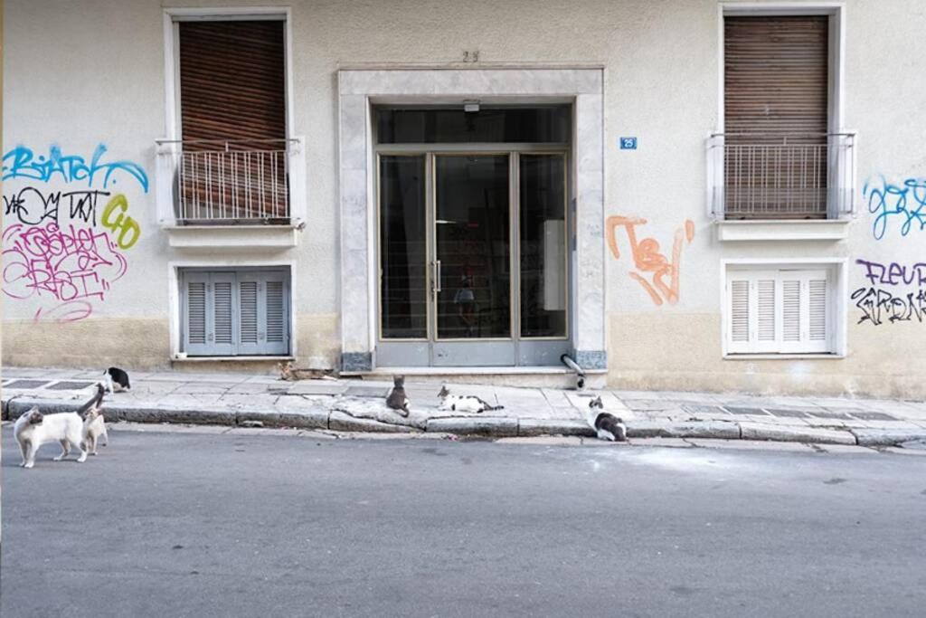 Charming Rooftop Nest With Awesome Acropolis View Downtown Афины Экстерьер фото